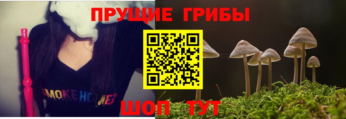 Галлюциногенные грибы Magic Shrooms  Вход с VPN  купить наркотики цена  Шали 